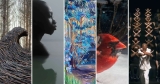 Tänze und Zweige: Die meistgelesenen Geschichten von Colossal im Jahr 2021